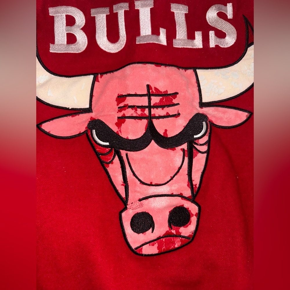 Reversible Chicago Bulls Jacket - Picture 9 of 16